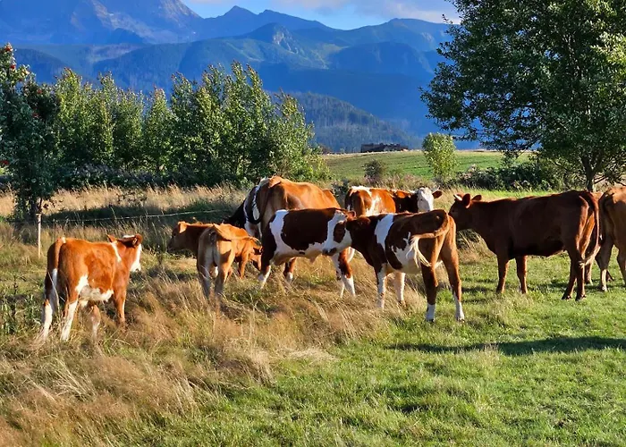 Goralska 2 Highland - Split Ac, Jacuzzi, Sauna, Private Parking, Mountains View, Garden, * Zakopane