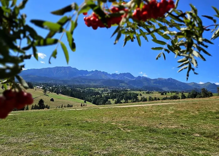 Domek alpejski Goralska 2 Highland - Split Ac, Jacuzzi, Sauna, Private Parking, Mountains View, Garden,