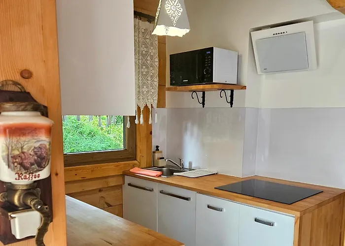 Goralska 2 Highland - Split Ac, Jacuzzi, Sauna, Private Parking, Mountains View, Garden, * Zakopane