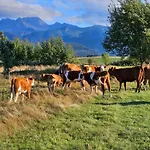 Goralska 2 Highland - Split Ac, Jacuzzi, Sauna, Private Parking, Mountains View, Garden, * Zakopane