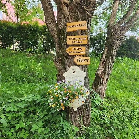 Alpehytte Goralska 2 Highland - Split Ac, Jacuzzi, Sauna, Private Parking, Mountains View, Garden, Zakopane