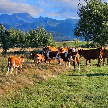 Goralska 2 Highland - Split Ac, Jacuzzi, Sauna, Private Parking, Mountains View, Garden, * 자코파네