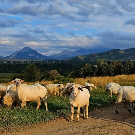 Goralska 2 Highland - Split Ac, Jacuzzi, Sauna, Private Parking, Mountains View, Garden, 木屋