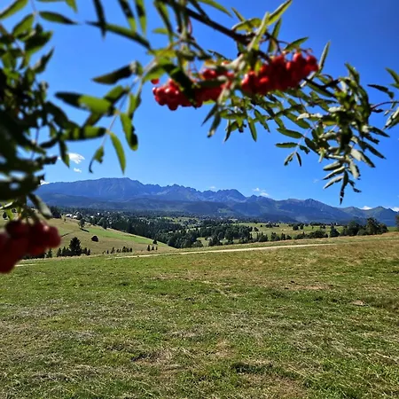 木屋 Goralska 2 Highland - Split Ac, Jacuzzi, Sauna, Private Parking, Mountains View, Garden,