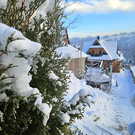 Goralska 2 Highland - Split Ac, Jacuzzi, Sauna, Private Parking, Mountains View, Garden, * 扎科帕内