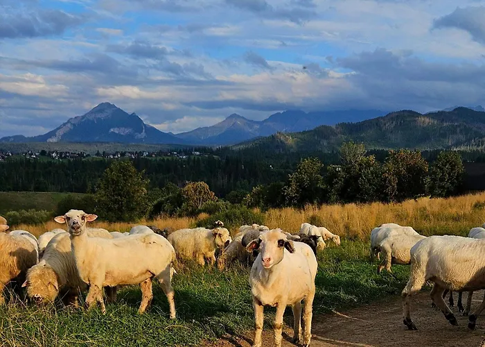 Goralska 2 Highland - Split Ac, Jacuzzi, Sauna, Private Parking, Mountains View, Garden, Alpehytte