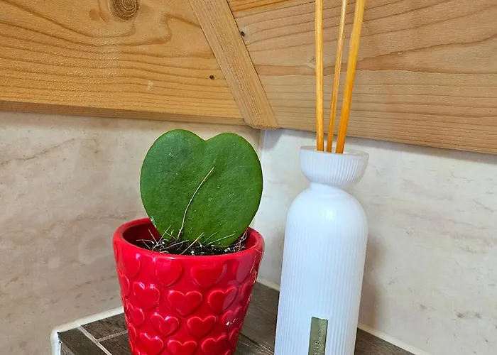 Alpehytte Goralska 2 Highland - Split Ac, Jacuzzi, Sauna, Private Parking, Mountains View, Garden, Zakopane